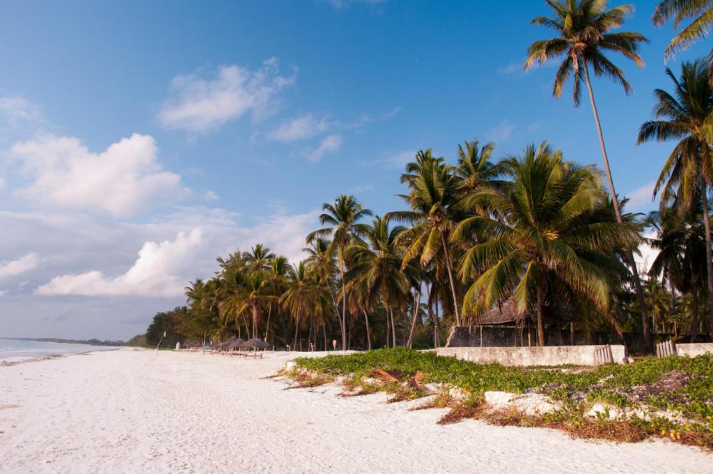 Najlepszy czas na podróż do Zanzibaru. Kiedy unikać deszczu i znaleźć tanie loty?